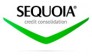 Sequoia credit consolidation