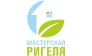 Мастерская Ригеля