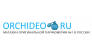 orchideo.ru