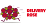 DeliveryRose