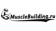 MuscleBuilding, (Кошелев А.Б.)