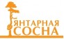 Янтарная сосна