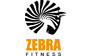 Zebra Fitness